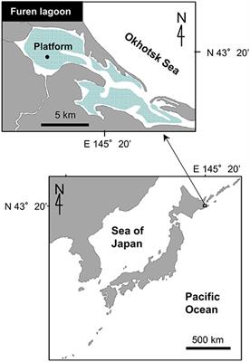 Improved Post-processing of Eddy-Covariance Data to Quantify Atmosphere–Aquatic Ecosystem CO2 Exchanges